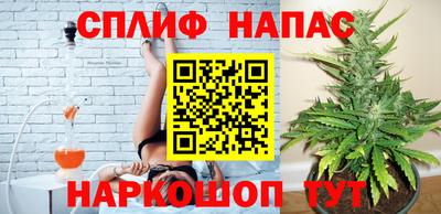 spice Краснознаменск