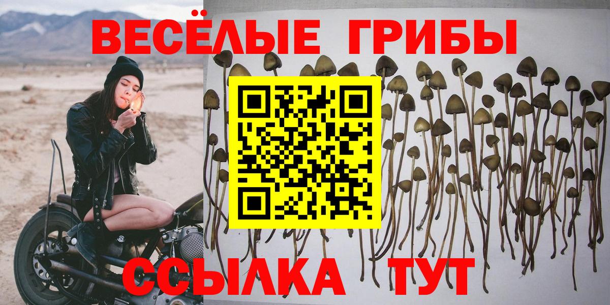 закладки  Вход с VPN  Галлюциногенные грибы Cubensis  Находка  Галлюциногенные грибы Cubensis 