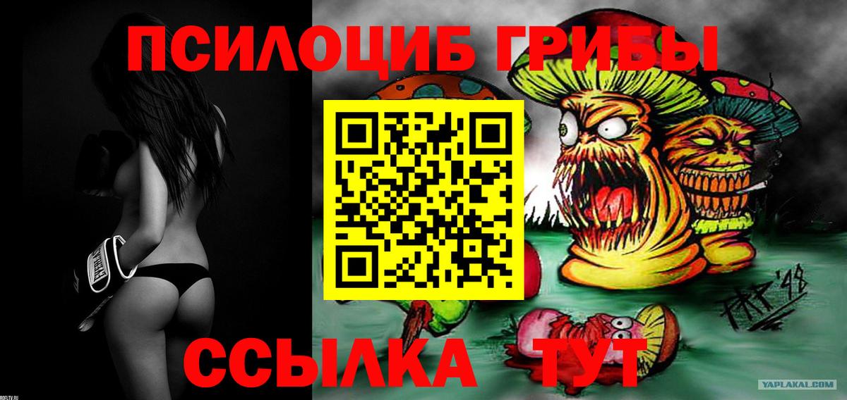 Галлюциногенные грибы MAGIC MUSHROOMS Находка